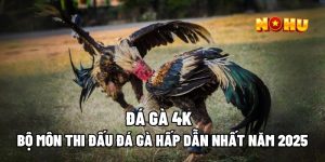 Đá Gà 4K - Bộ Môn Thi Đấu Đá Gà Hấp Dẫn Nhất Năm 2025